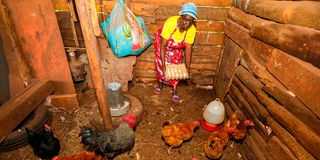Florence Waithera