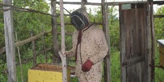 Bee keeping