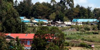Hillside Endarasha Academy