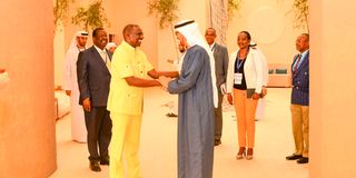 William Ruto with Sheikh Mohamed bin Zayed
