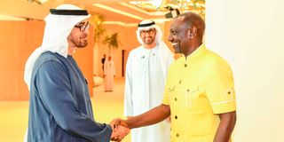 William Ruto with Sheikh Mohamed bin Zayed