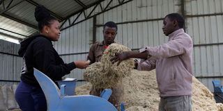 Elburgon Progressive Dairy Farmers Cooperative Society