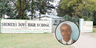 Shiner’s Boy High School