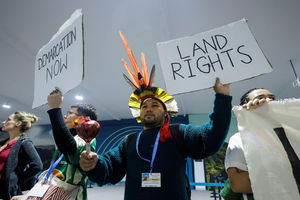 COP29 