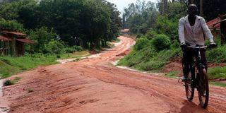 Shimba Hills