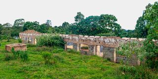 Mau Forest