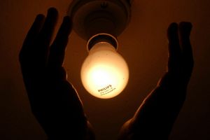 Bulb