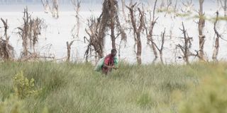 Fisherman