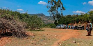 Makongo forest