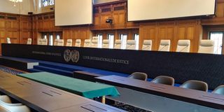 International Court of Justice (ICJ)