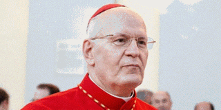 Cardinal Peter Erdo