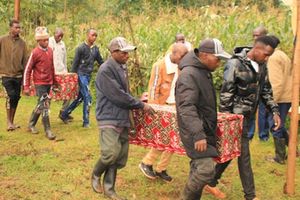 Bomet