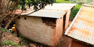 Bomet