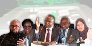 IEBC nominees