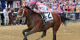 Umberto Rispoli