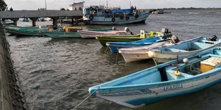 Lamu island