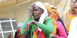 Elizabeth Mosoni