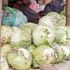 Cabbage