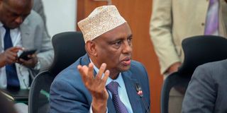 Ali Mohamud