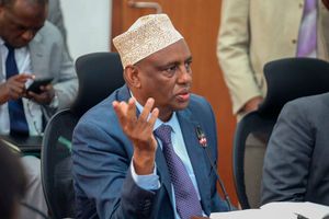 Ali Mohamud