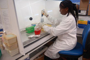 Kemri 