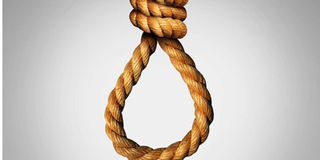 Noose