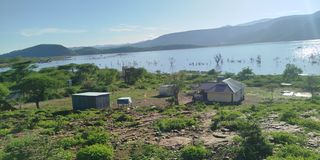 Baringo