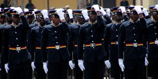 Police parade