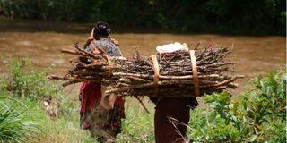 Firewood