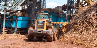 Sony Sugar Company