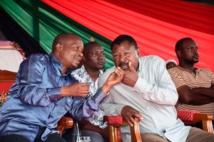 Kithure Kindiki and Moses Wetang'ula