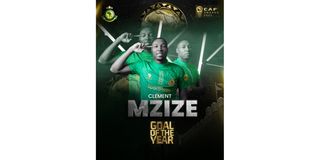 MZI 04