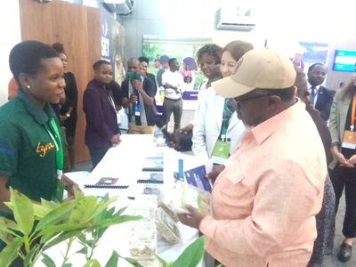 RC Malima aagiza Halmashauri Morogoro kuwasaidia v