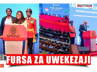 Samia ataja maeneo matano ya kipaumbele, Rais wa S