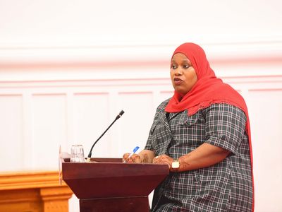 Mwakilishi aeleza kasoro za utengenezaji wa boti z