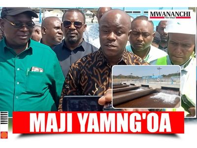 Water minister sacks Mwanza manager amid citizen complaints