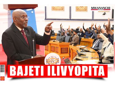 Zanzibar's 8 trillion Shilling budget passes