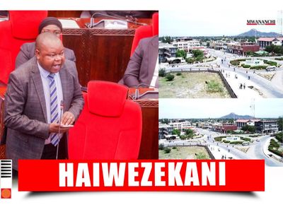 Tamisemi Rejects Dodoma City Split, Agrees on Market Design Concerns